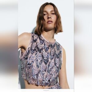 Zara Beautiful Sequin Top